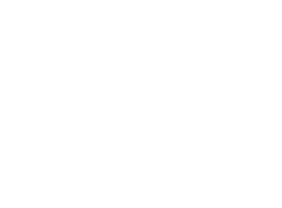 Mikropor
