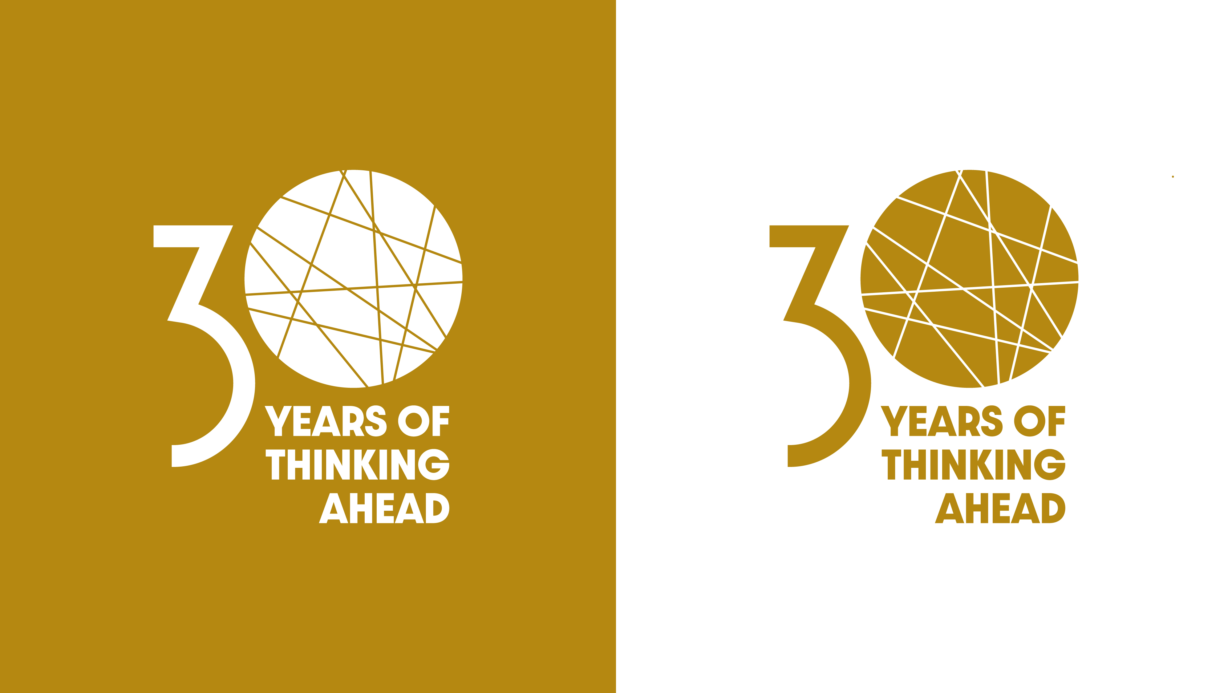 30th Anniversary Concept — 1