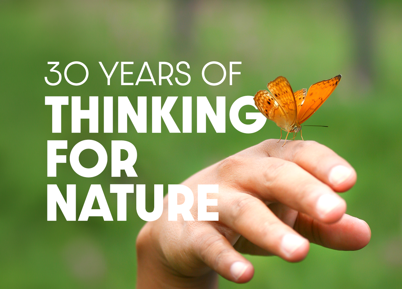 30th Anniversary Concept — 4