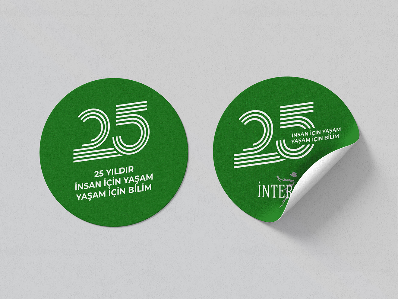 25th Anniversary Concept — 5