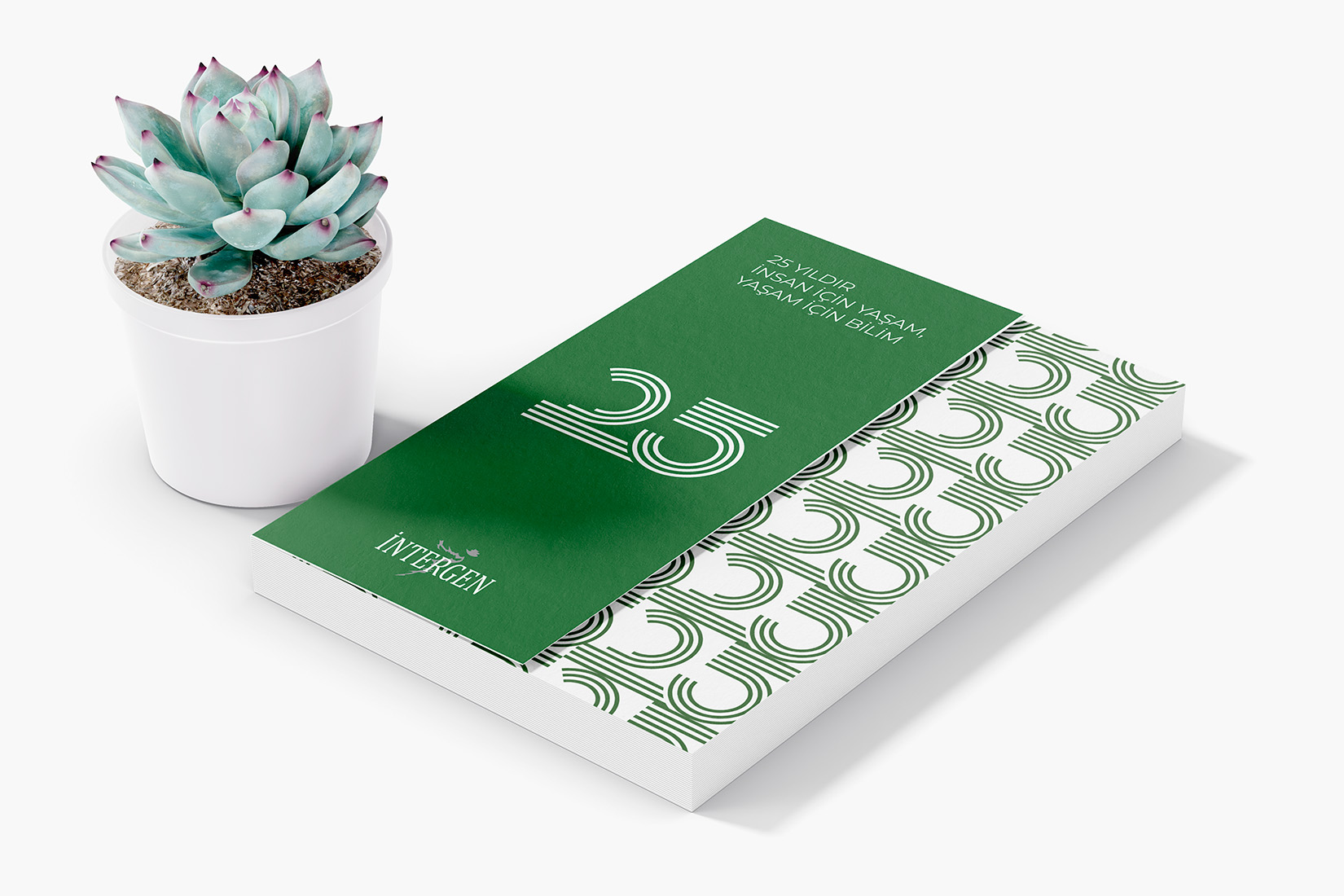 25th Anniversary Concept — 6